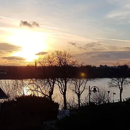 Dreamy Vibes Mit Privatem Pool & Rheinblick *